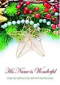 E-Book (epub) His Name is Wonderful von Mathew Bartlett
