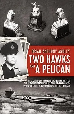 E-Book (epub) Two Hawks and a Pelican von Brian Anthony Ashley