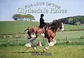 E-Book (epub) For Love of the Clydesdale Horse von Heidi M. Sands