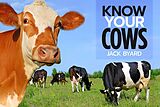 eBook (epub) Know Your Cows de Jack Byard