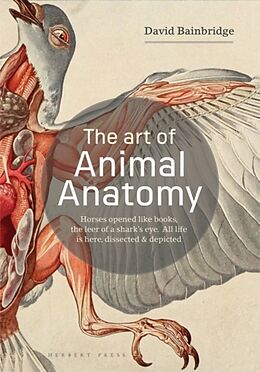 Couverture cartonnée The Art of Animal Anatomy de David Bainbridge