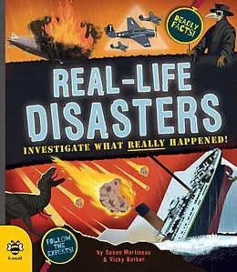 E-Book (pdf) Real-life Disasters von Susan Martineau