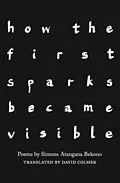 E-Book (epub) how the first sparks became visible von Simone Atangana Bekono