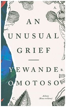 Kartonierter Einband An Unusual Grief von Yewande Omotoso