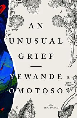 E-Book (epub) An Unusual Grief von Yewande Omotoso
