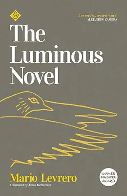 E-Book (epub) The Luminous Novel von Mario Levrero