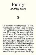 E-Book (epub) Purity von Andrzej Tichý