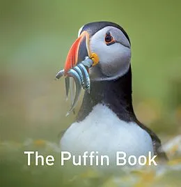 E-Book (epub) Puffin Book von Drew Buckley