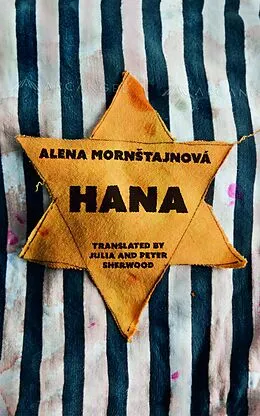 E-Book (epub) Hana von Alena Mornstajnová