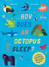 eBook (epub) How Does An Octopus Sleep? de Octavio Pintos, Martin Iannuzzi