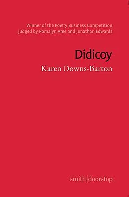 E-Book (epub) Didicoy von Karen Downs-Barton