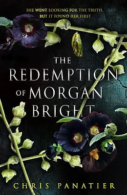 E-Book (epub) The Redemption of Morgan Bright von Chris Panatier