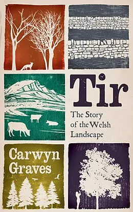 E-Book (epub) Tir von Carwyn Graves