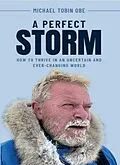 E-Book (epub) A Perfect Storm von Michael Tobin