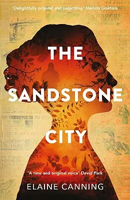 E-Book (epub) The Sandstone City von Elaine Canning