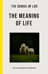 Kartonierter Einband The Meaning of Life von The School of Life