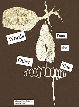 E-Book (epub) Words From the Other Side von Rachel Winter