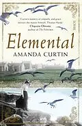 E-Book (epub) Elemental von Amanda Curtin