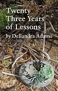 E-Book (epub) Twenty Three Years of Lessons von Dellandra Adams