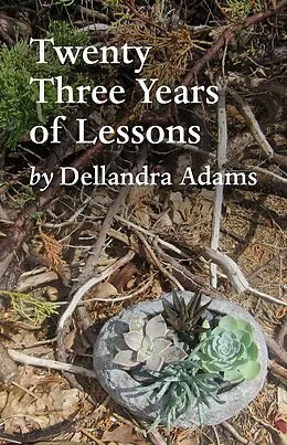 E-Book (epub) Twenty Three Years of Lessons von Dellandra Adams
