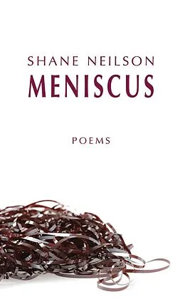 E-Book (epub) Meniscus von Shane Neilson