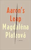 E-Book (epub) Aaron's Leap von Magdaléna Platzová