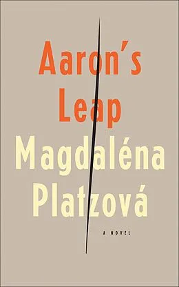 E-Book (epub) Aaron's Leap von Magdaléna Platzová