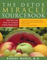 Kartonierter Einband The Detox Miracle Sourcebook von Robert S Morse N D