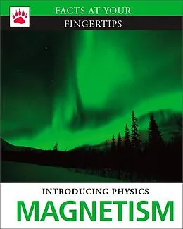 E-Book (pdf) Magnetism von Graham Bateman