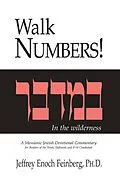 E-Book (epub) Walk Numbers von Ph. D. Jeffrey Enoch Feinberg