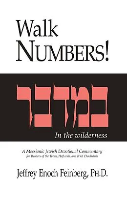 E-Book (epub) Walk Numbers von Ph. D. Jeffrey Enoch Feinberg