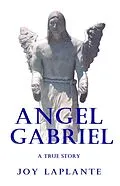 E-Book (epub) Angel Gabriel - A True Story von Joy Laplante