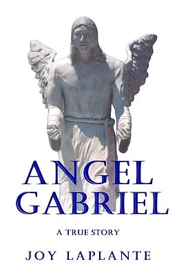 E-Book (epub) Angel Gabriel - A True Story von Joy Laplante
