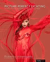 Kartonierter Einband Picture Perfect Lighting von Valenzuela Roberto