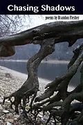E-Book (epub) Chasing Shadows von Brandon Flesher