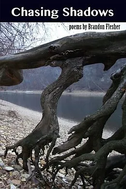 E-Book (epub) Chasing Shadows von Brandon Flesher