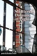E-Book (epub) Shattered Dreams in Light von Brandon Flesher
