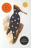 E-Book (epub) First Law of Holes von Meg Pokrass