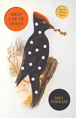 E-Book (epub) First Law of Holes von Meg Pokrass