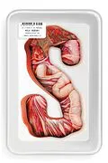 E-Book (epub) S von Koji Suzuki
