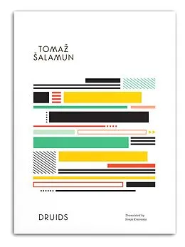 ePUB Druids von Tomaz Salamun