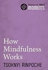 E-Book (epub) How Mindfulness Works von Tsoknyi Rinpoche