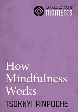 eBook (epub) How Mindfulness Works de Tsoknyi Rinpoche