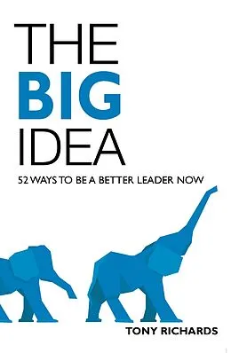 E-Book (epub) The Big Idea von Tony Richards