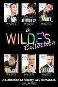 E-Book (epub) A Wilde's Collection von L. A. Witt