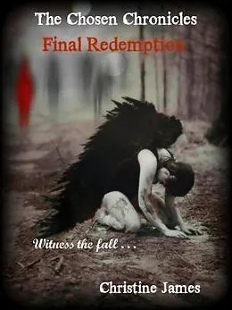 E-Book (epub) The Chosen Chronicles von Christine James
