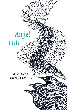 E-Book (epub) Angel Hill von Michael Longley