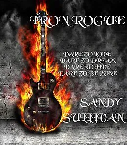 E-Book (epub) Iron Rogue Box Set von Sandy Sullivan