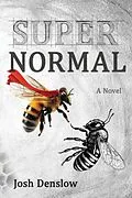 E-Book (epub) Super Normal von Josh Denslow