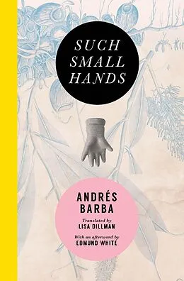 ePUB Such Small Hands von Andrés Barba